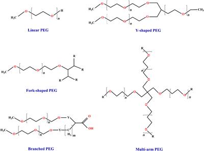 Research progress on the PEGylation of therapeutic proteins and peptides (TPPs)